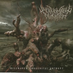Unfathomable Ruination - Carved Inherent Delusion