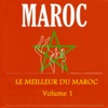 Le meilleur du Maroc, Vol. 1 (30 Hits of Morrocco), 2013