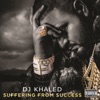 Suffering From Success (Deluxe Version), 2013