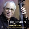 Pat Senatore - Ascensione (feat. Josh Nelson & Mark Ferber)