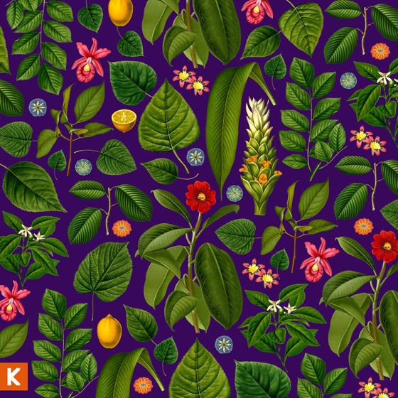 Cover artwork for I Know