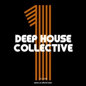Deep House Collective Vol. 1 (Compiled and Mixed by Peter Funk) artwork