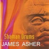 Shaman Drums