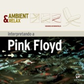 Ambient & Relax: Pink Floyd artwork