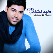 Waleed Al Shami 2012 - Waleed Al Shami