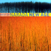 Best of Narada New Age - Various Artists