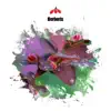Shaman EP - Single album lyrics, reviews, download