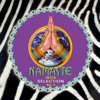 Namaste Ibiza Selection Vol. 2