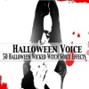 Halloween Voice - I Will Turn You Into a Toad, I Will Turn You Into a Frog, I Will Turn You Into a Cat, That Is That