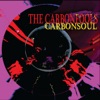 Carbonsoul