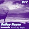 Insomnia (Sopik Remix) - Bailey Royse lyrics
