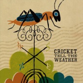 Cricket Tell the Weather - Rocky Mountain Skies