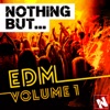 Nothing But... EDM Vol. 1, 2014