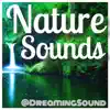 Stream & download Nature Sounds (for relaxation, sleeping, tension, physical therapy, yoga, massage, chakra, baby)