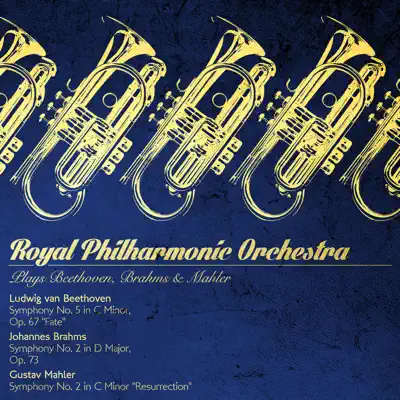 Royal Philharmonic Orchestra Plays Beethoven, Brahms & Mahler - Royal Philharmonic Orchestra