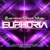 EDM Euphoria 2014
