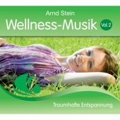 Wellness-Musik, Vol. 2 artwork
