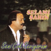 Seni Çok Seviyorum artwork