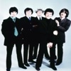 The Hollies - Searchin'