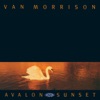 Avalon Sunset, 1989