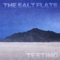 Landspeed - The Salt Flats lyrics