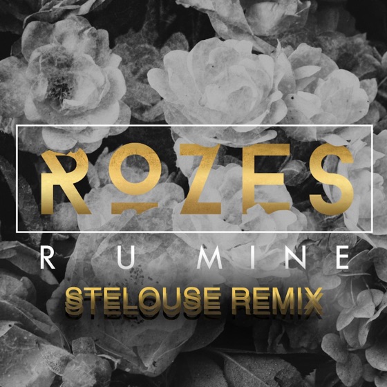 Cover artwork for R U Mine (SteLouse Remix)