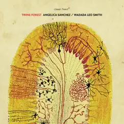 Twine Forest by Angelica Sanchez & Wadada Leo Smith album reviews, ratings, credits