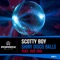 Shiny Disco Balls (Origina Mix) artwork