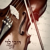 כינורי artwork