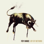 Foy Vance - Closed Hand, Full of Friends