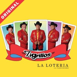 Los Tigrillos - La Lotería