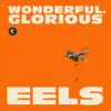 Wonderful, Glorious (Deluxe Version) album lyrics, reviews, download
