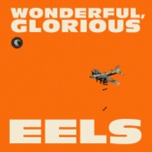 Eels - Summer in the City (Live at KEXP Seattle 2011)
