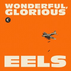 Wonderful, Glorious (Deluxe Version)
