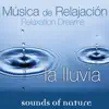 Relaxation Dreams, Música de Relajación: La Lluvia album lyrics, reviews, download