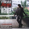 Forever Love Hits By Palapol, 2010