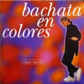 Bachata en colores artwork