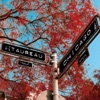 Taureau - West Side