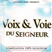 Voix & Voie du Seigneur Vol 1 (Compilation 100% Religieuse) artwork