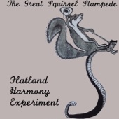 Flatland Harmony Experiment - The Great Squirrel Stampede