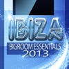 Ibiza Bigroom Essentials 2013, 2013