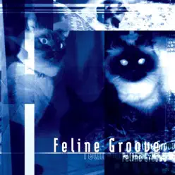 Feline Groove - Morrigan Feline Groove - Morrigan