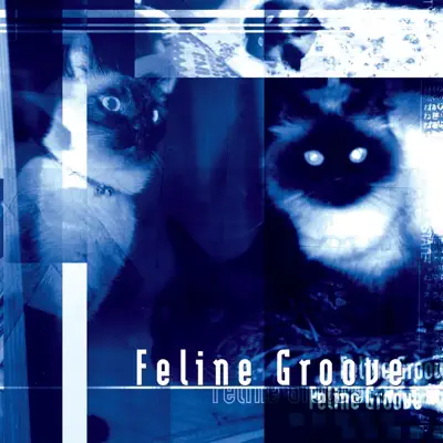 Feline Groove - Morrigan Feline Groove - Morrigan