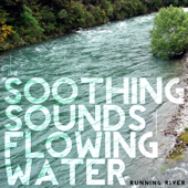 The Soothing Sounds of Flowing Water (Running River) - Holistic Serenity