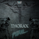 Pitbull - Thorax