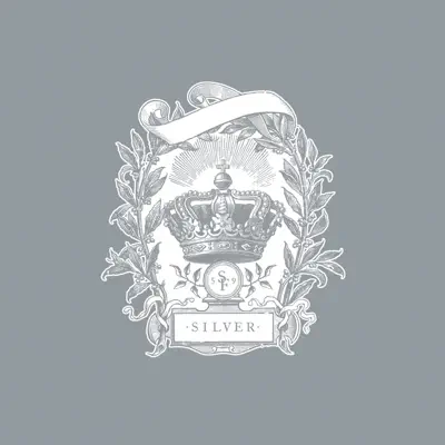 Silver (Extended Edition) - Starflyer 59 Silver (Extended Edition) - Starflyer 59