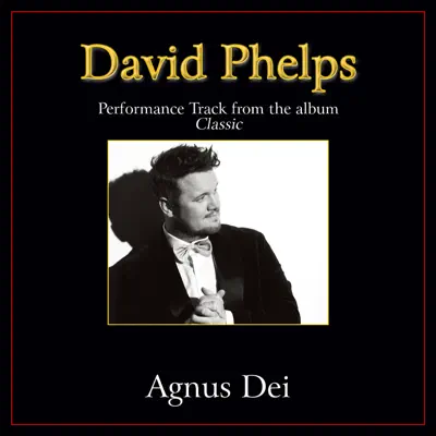 Agnus Dei (Performance Tracks) - EP - David Phelps