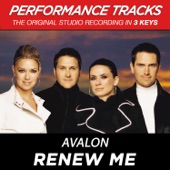 Renew Me (Performance Track In Key of D-F Without Background Vocals) artwork
