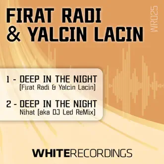 Deep in the Night - Single by Firat Radi & Yalcin Lacin album reviews, ratings, credits