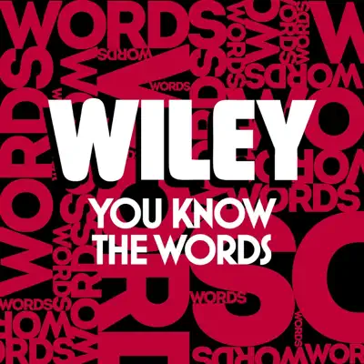 You Know the Words - Single - Wiley